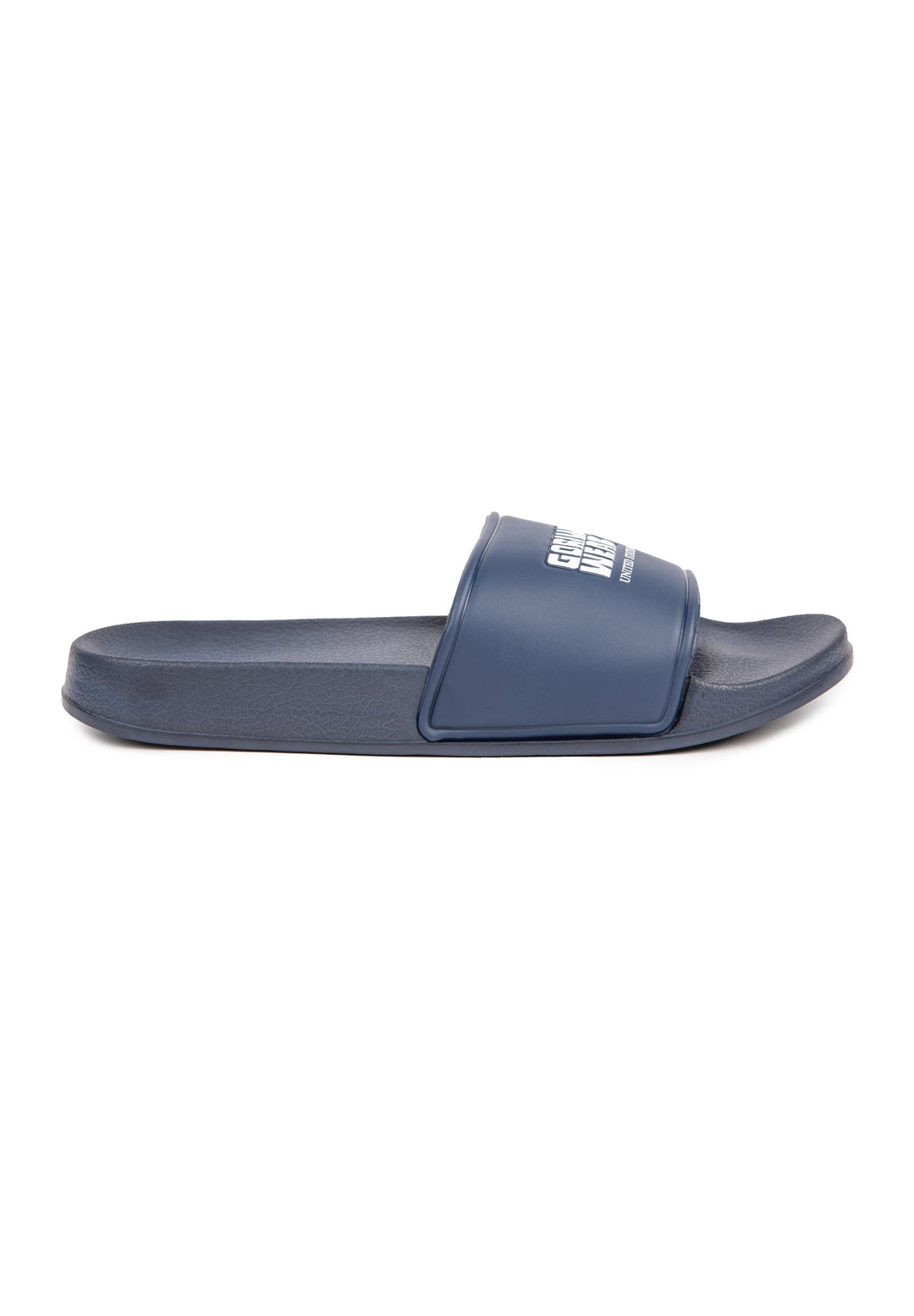 Pasco Slides - Refurbished