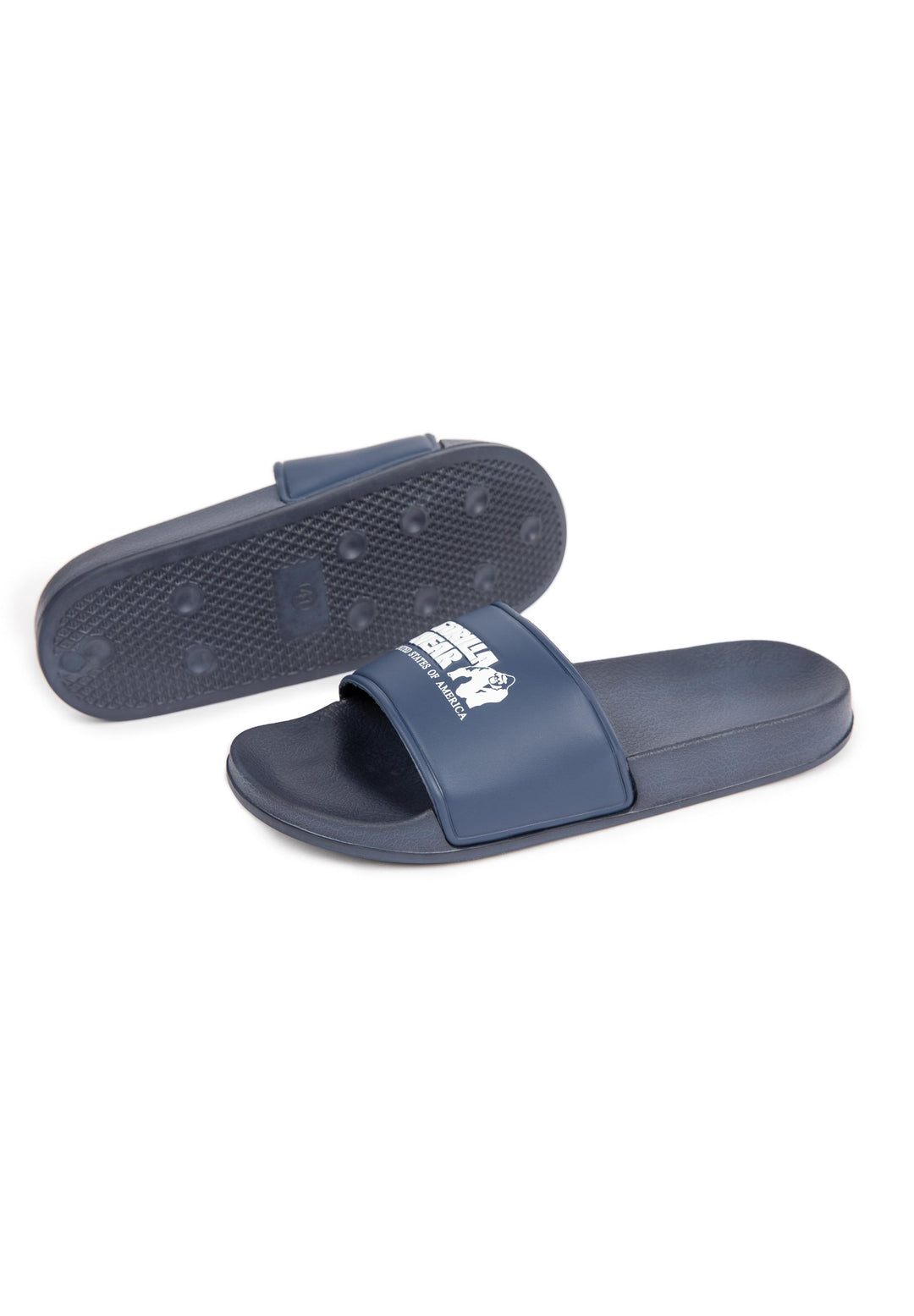 Pasco Slides - Refurbished