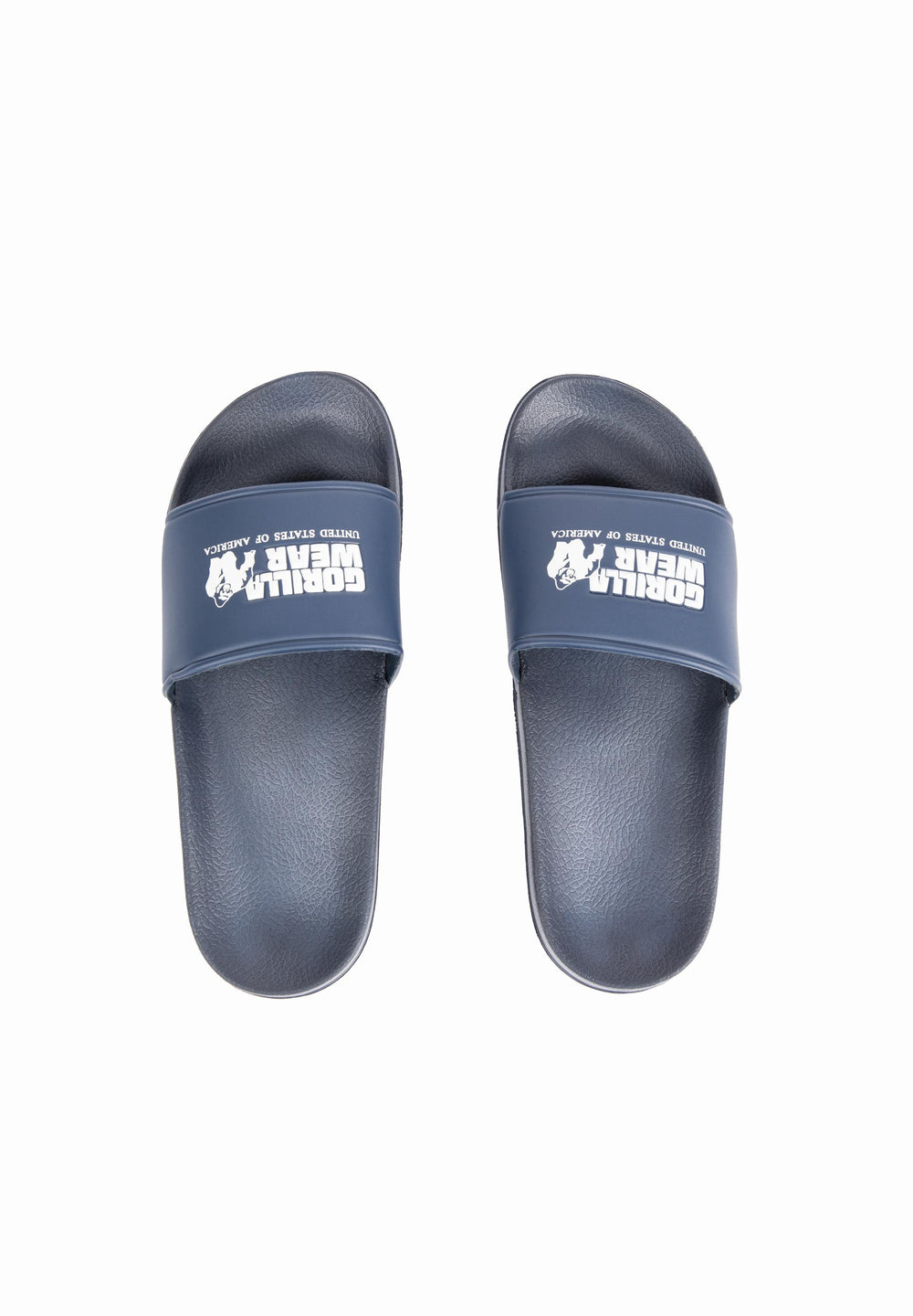 Pasco Slides - Refurbished