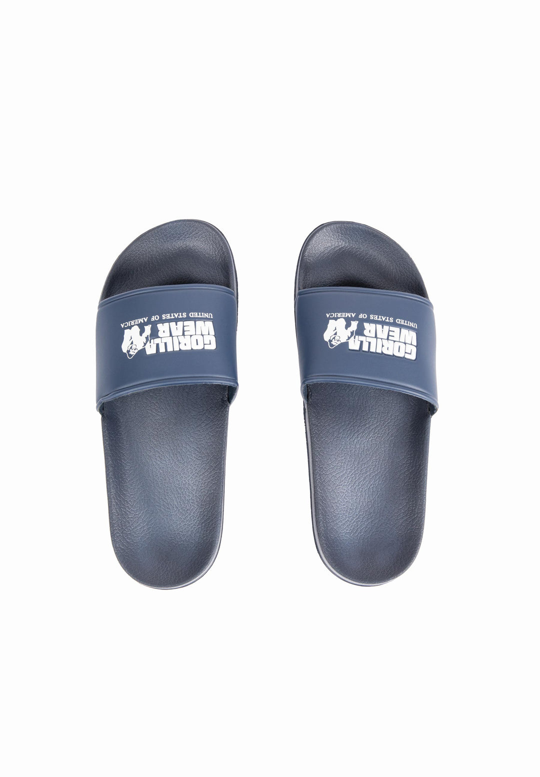 Pasco Slides - Refurbished