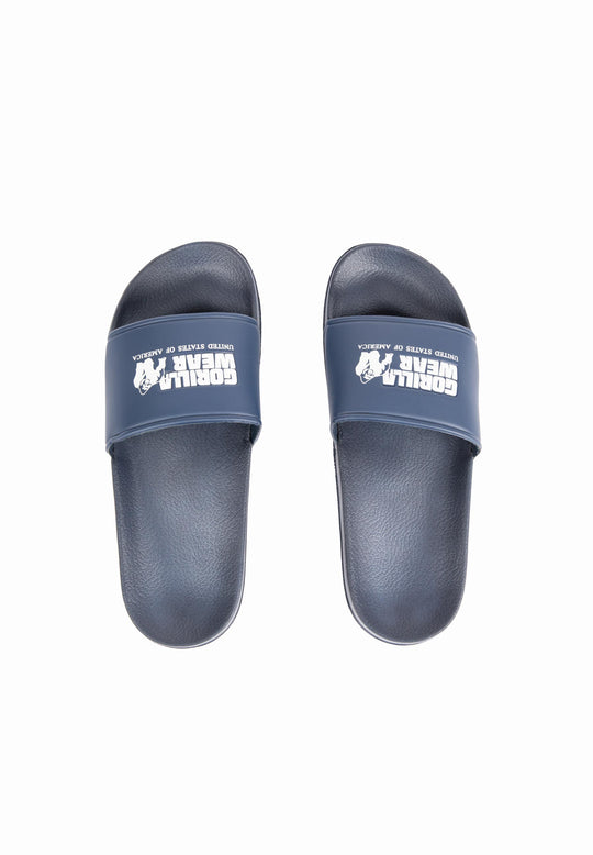 Pasco Slides - Refurbished