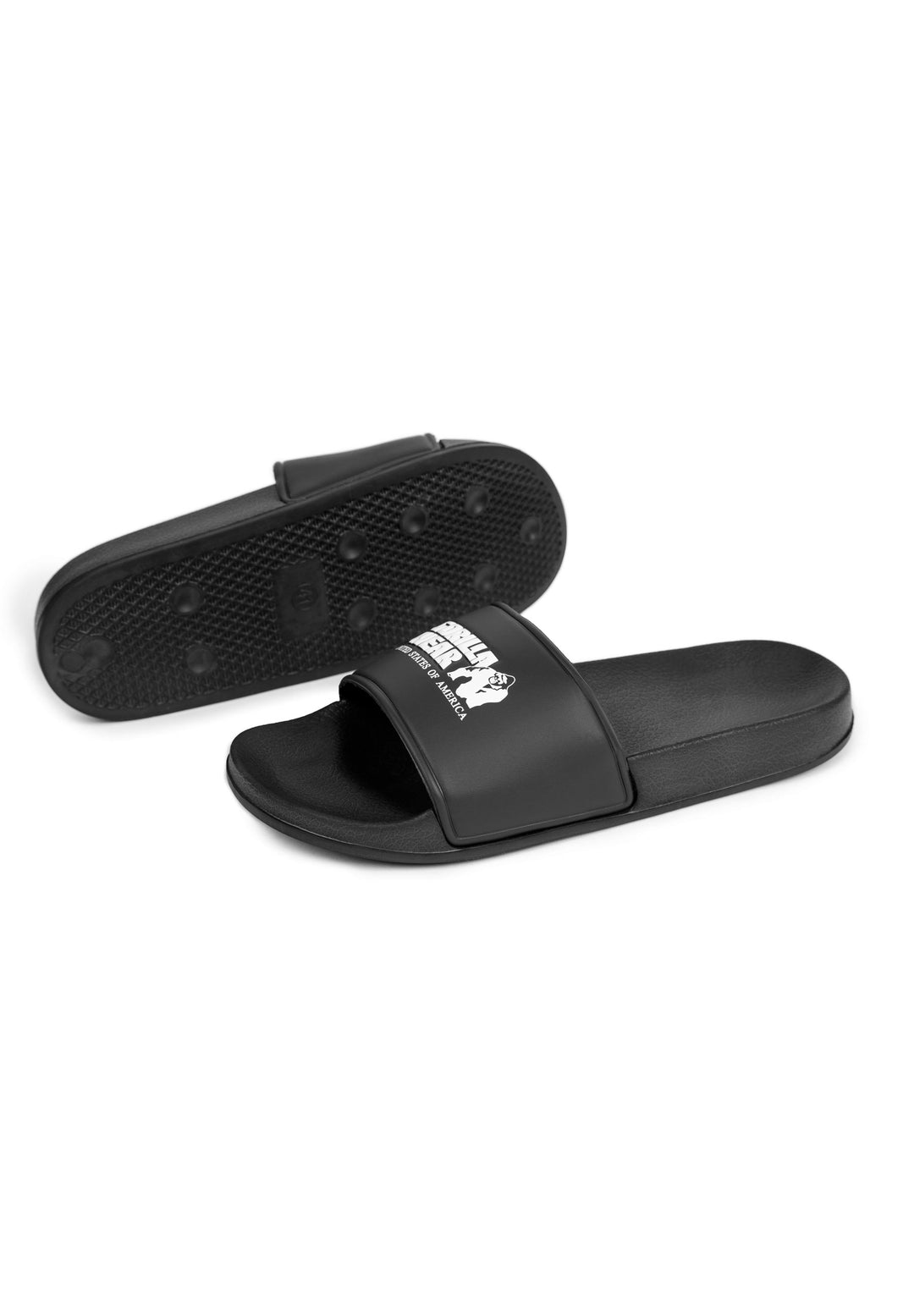 Pasco Slides - Refurbished