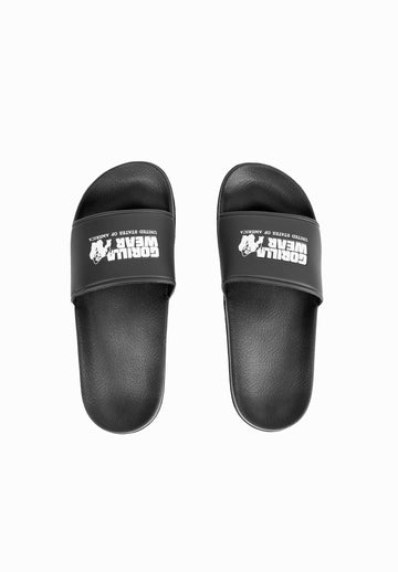 Pasco Slides - Refurbished