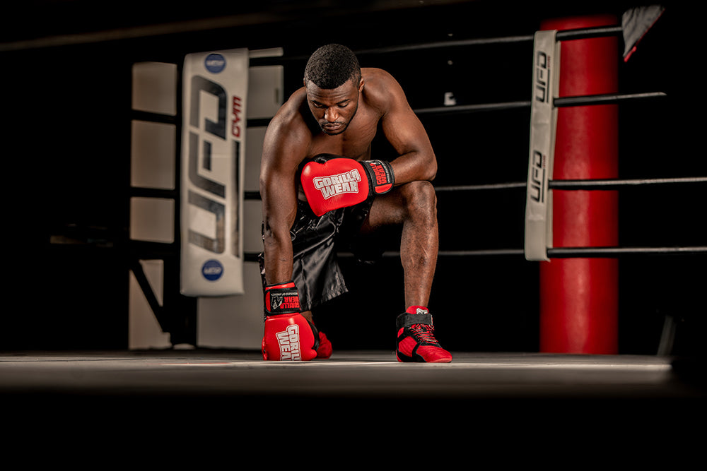 Ashton Pro Boxing Gloves Red/Black